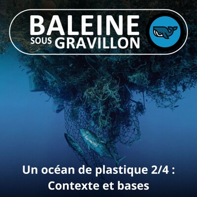 S02E67 Océan Plastique 2/4 : contexte et bases, Nelly Pons (auteure) cover