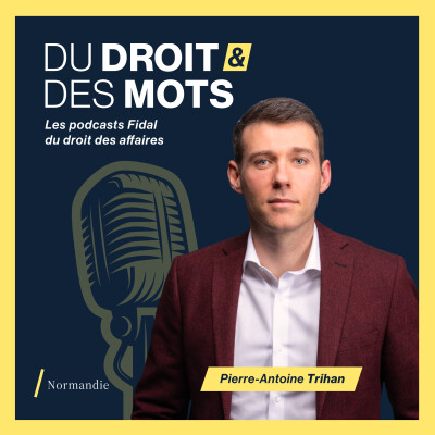 Télétravail à l'international : Comment minimiser les risques ? cover