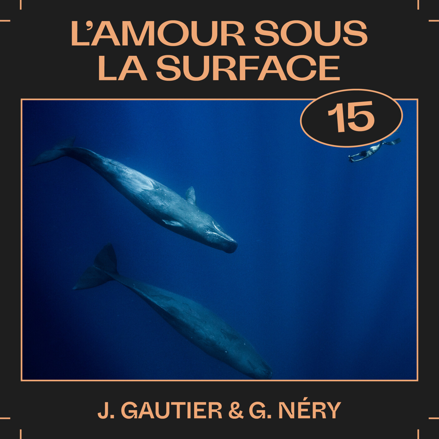 #15 â L'amour sous la surface, avec Julie Gautier et Guillaume NĂ©ry