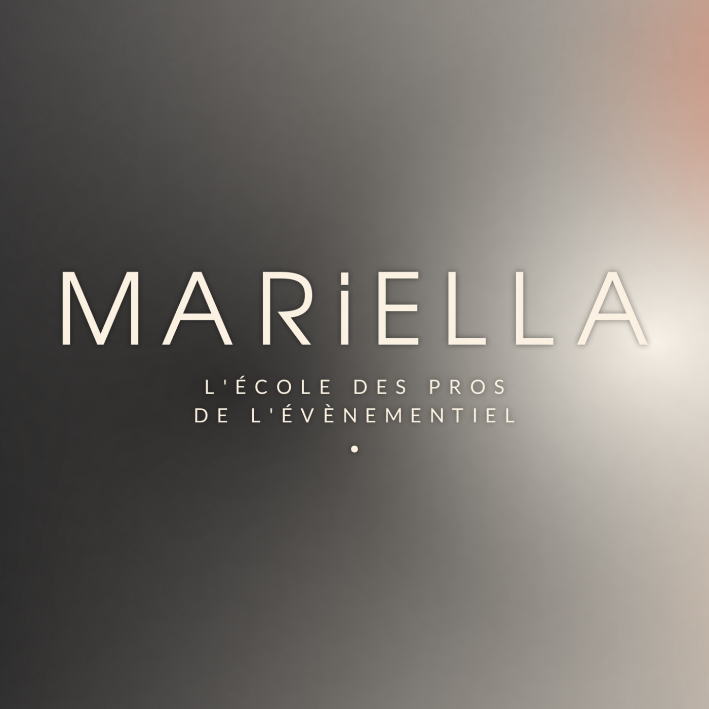 Le quotidien et les outils d'une wedding planner episode artwork