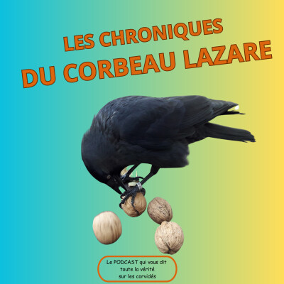 Les corbeaux savent-ils compter ? cover