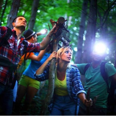 En route pour l'aventure ! cover