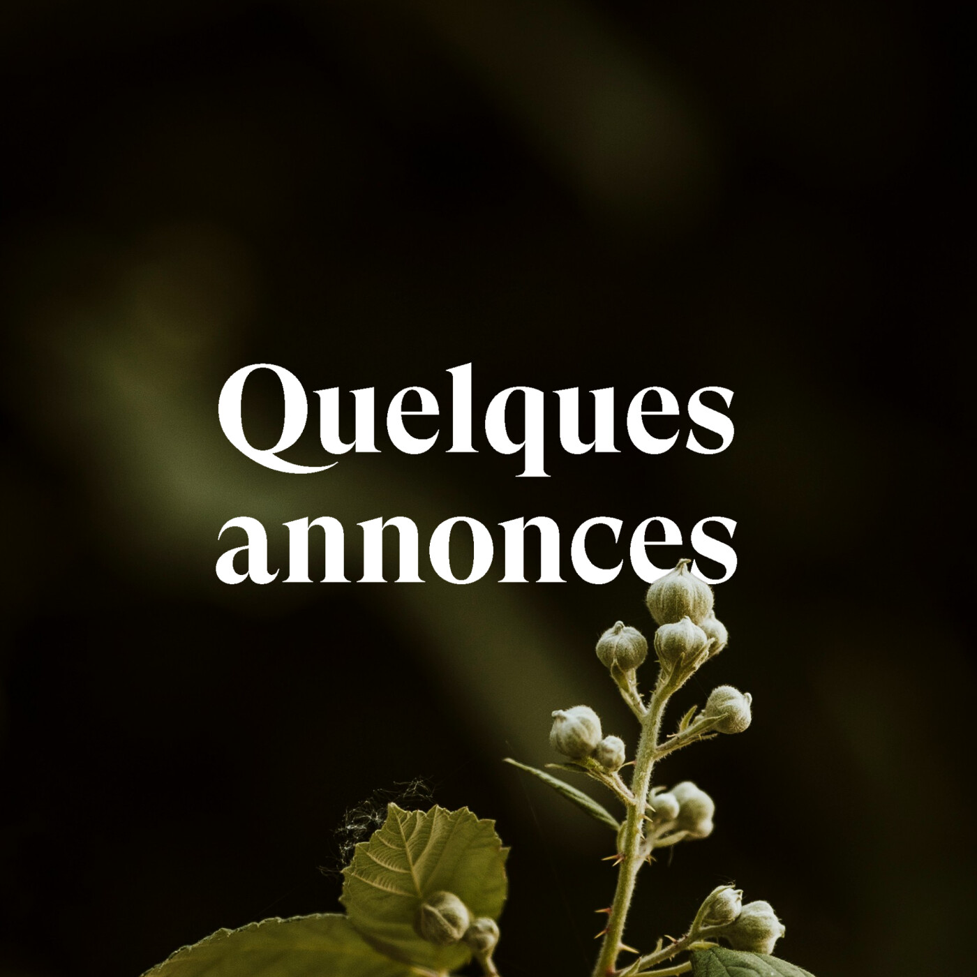 Quelques annonces importantes episode artwork