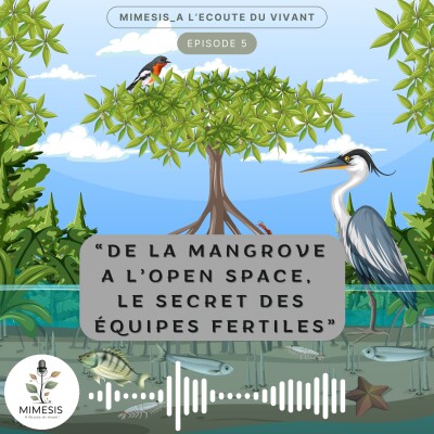 De la mangrove à l'open-space, le secret des équipes fertiles - Ep.05 cover
