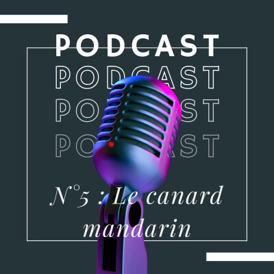 Canard Mandarin : Beauté exotique ou menace pour nos espèces ? 🌏⚖️ cover