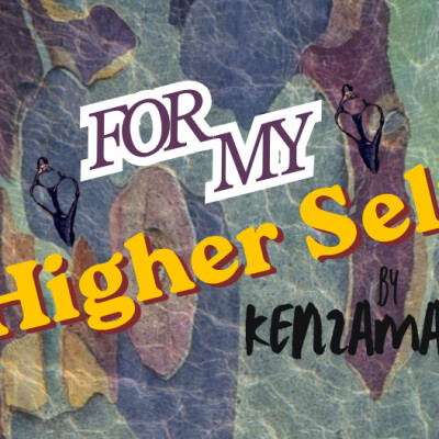 FmHS- Episode l. How  it all began cover