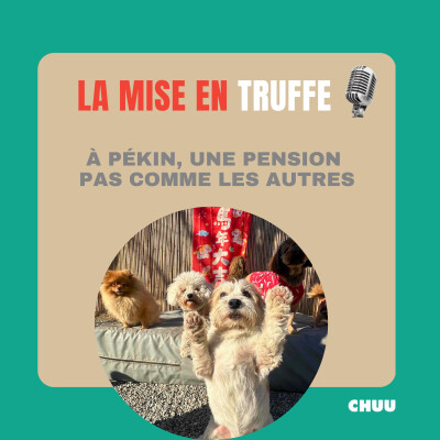 [MISE EN TRUFFE] À Pékin, une pension canine pas comme les autres cover