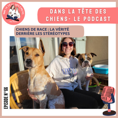 Chiens de race : la vérité derrière les stéréotypes cover