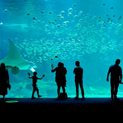 Le Père Noël fait de la plongée ! cover