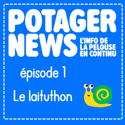 POTAGER NEWS 1 : Le laituthon cover