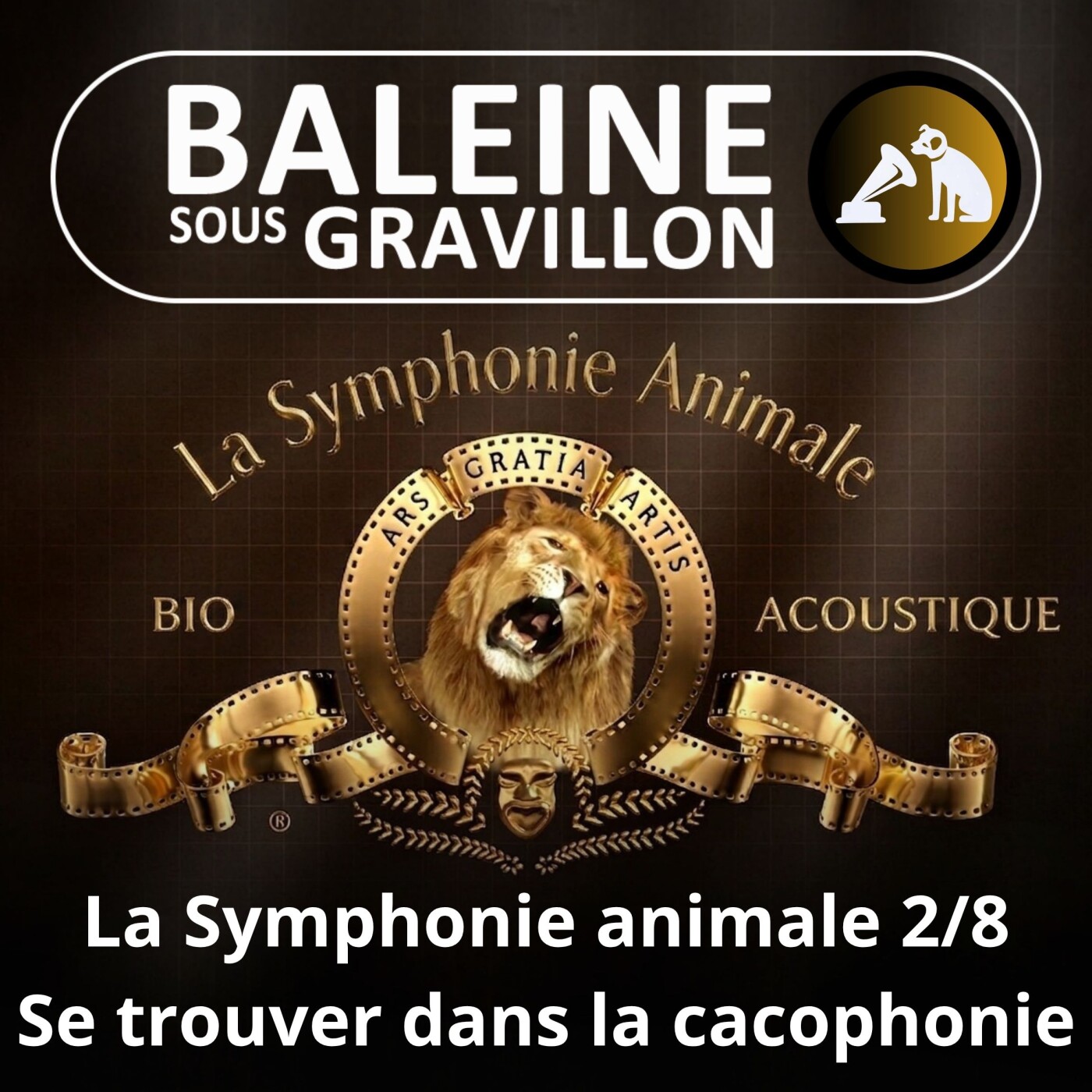 S02E118 La Symphonie animale 2/8 : Retrouver son petit dans la cacophonie des Manchots episode artwork