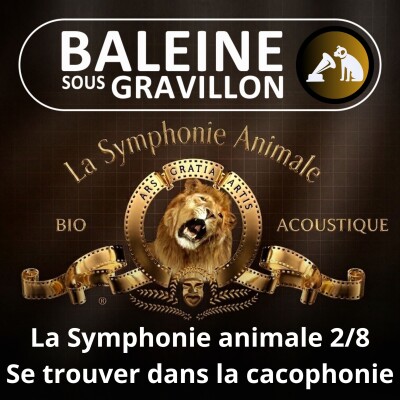 S02E118 La Symphonie animale 2/8 : Retrouver son petit dans la cacophonie des Manchots cover
