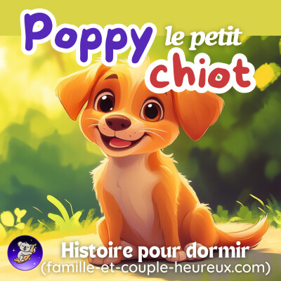 Poppy le petit chiot🐶 | Histoire pour s'endormir 🌙magique et douce- Animaux- chien | Patricia histoires cover