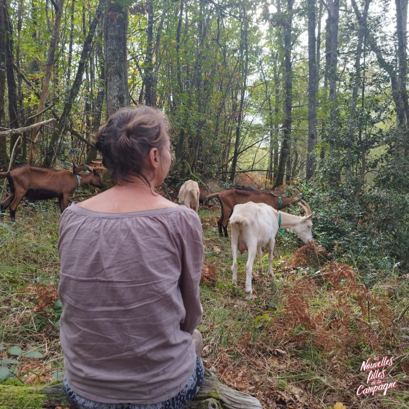Les Nouvelles filles de la Campagne.