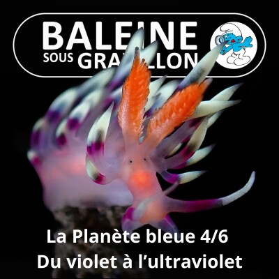 S07E85 La Planète bleue 4/6 : Du violet à l'ultraviolet cover