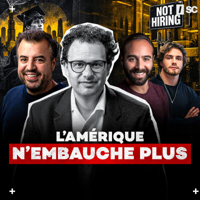 L'emploi en chute libre : l'IA est-elle la vraie coupable ? cover