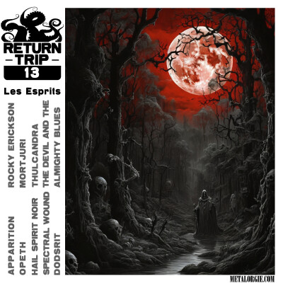 S01E13 Les Esprits cover