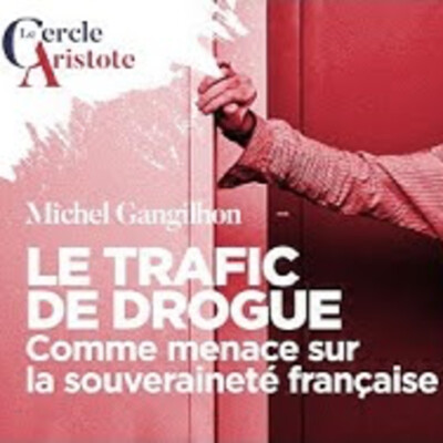 Le trafic de drogue comme atteinte à la souveraineté - M. Gandilhon - # politique cover