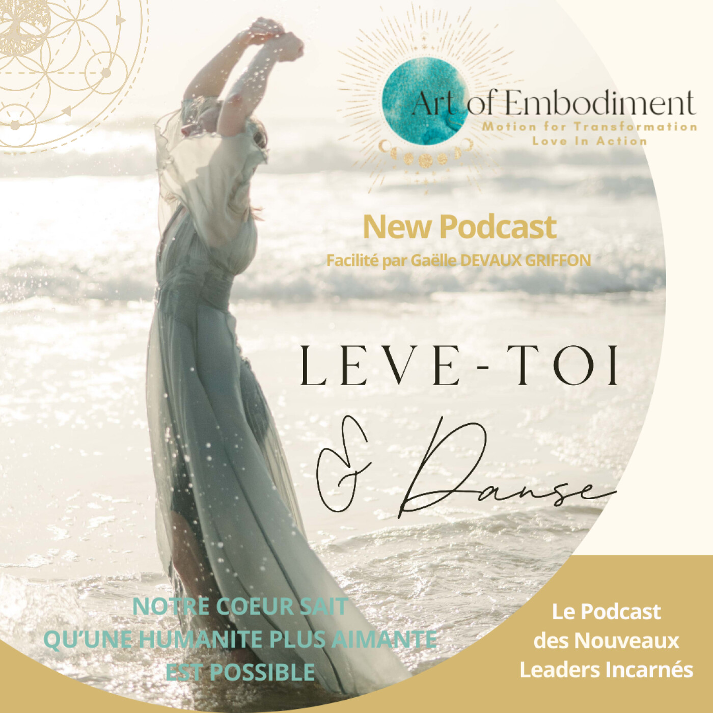 Lève-toi & Danse podcast artwork