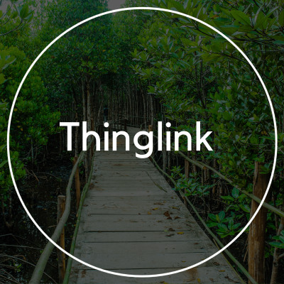 Thinglink cover
