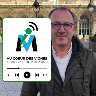 Tour de France des Crémants : L'Alsace, Olivier Solher, l'essor d'une appellation (Extrait) cover