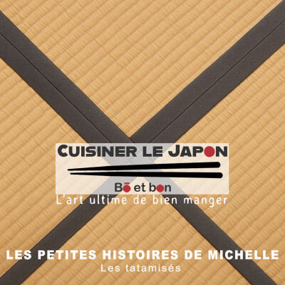 LES PETITES HISTOIRES DE MICHELLE - Les tatamisés cover