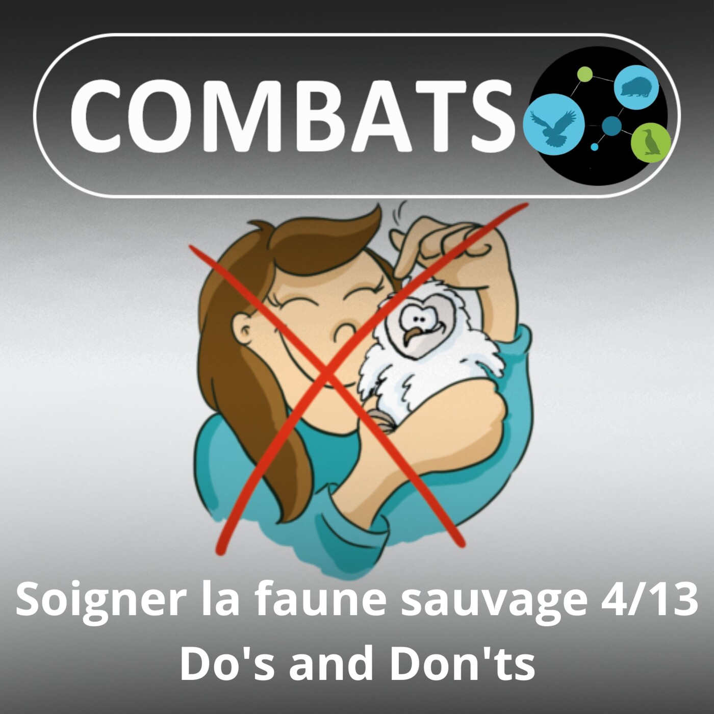 S01E61 Soigner la faune sauvage 4/13 : Do's and Don'ts (Manon Tissidre, directrice du Réseau)