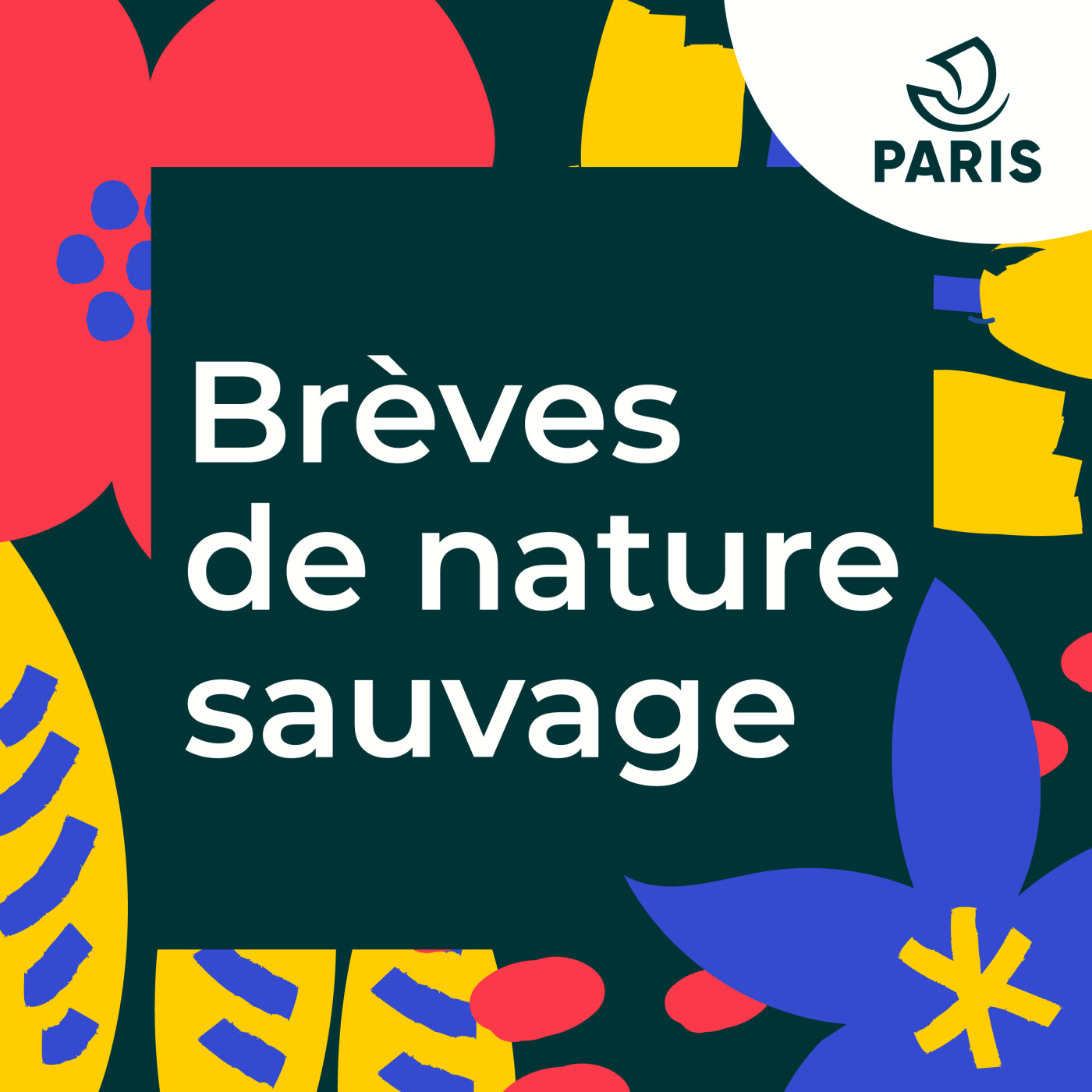 Brèves de nature sauvage, saison 3, teaser