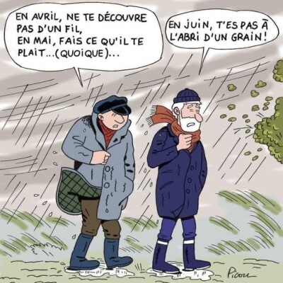 Les dictons météo tombent-ils juste ? cover