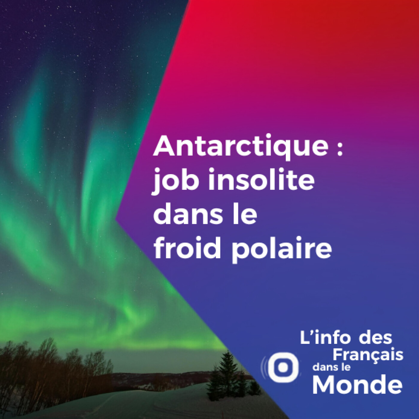Antarctique : job insolite dans le froid polaire