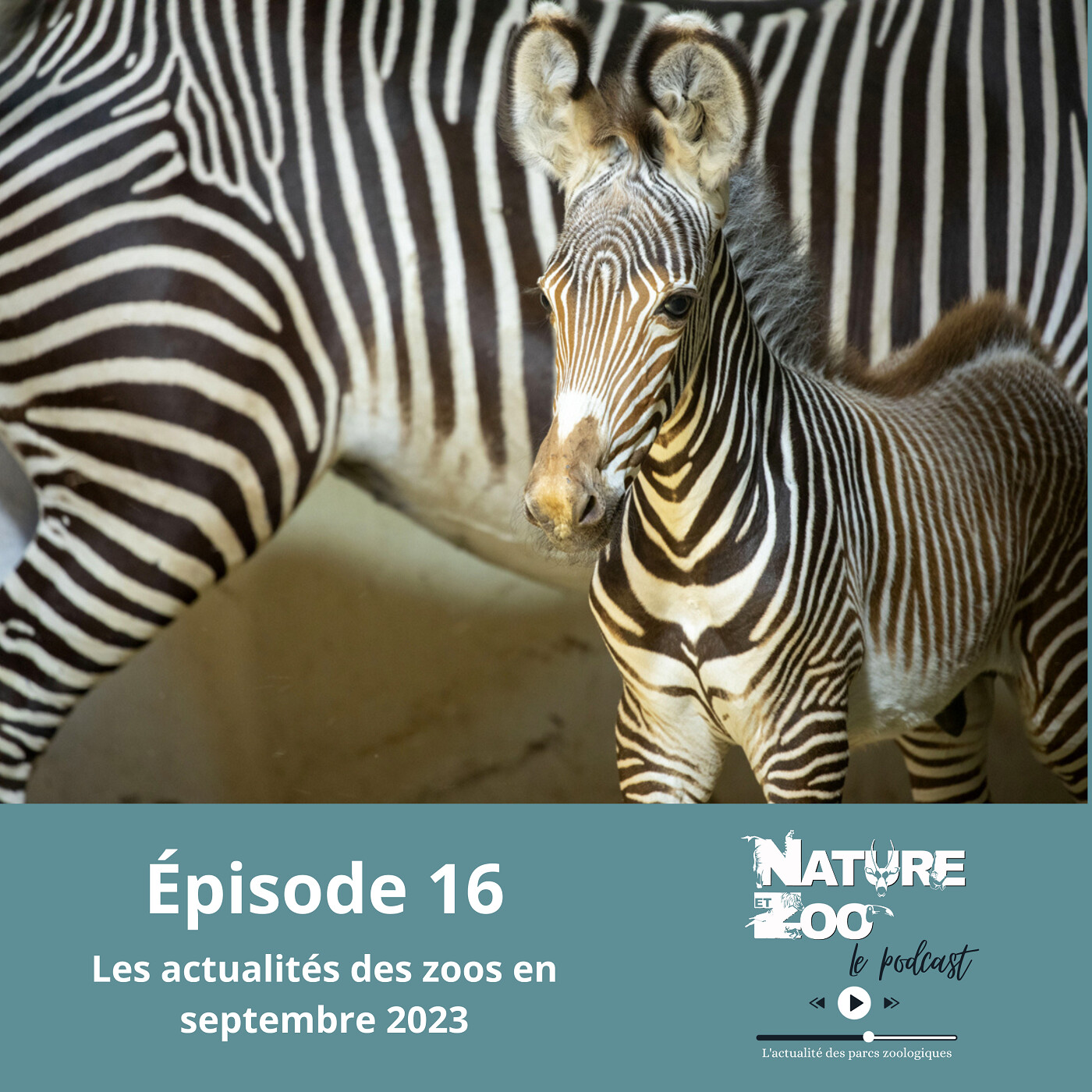 Épisode 16 (ACTU) - Les actualités en septembre 2023 episode artwork