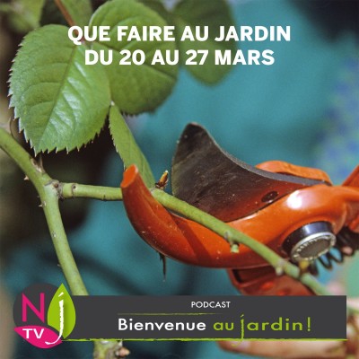 QUE FAIRE AU JARDIN DU 20 AU 27 MARS? cover