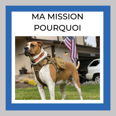 Ma MISSION, Mon POURQUOI -101 cover
