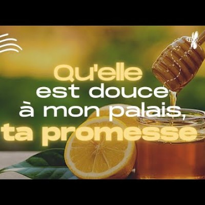 Écoute : Parole et Évangile du jour | Vendredi 18 novembre • La parole est du miel cover