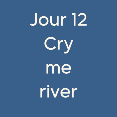#12CA Cry me a river cover