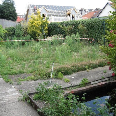 Jardin en friche : par où commencer ? cover