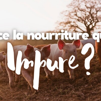 Parole et Évangile du jour | Mercredi 7 février • Qu'est-ce qui est impur ? cover