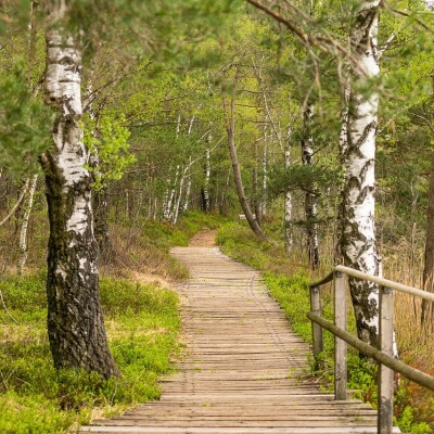 Balade nature en famille en Normandie ! cover