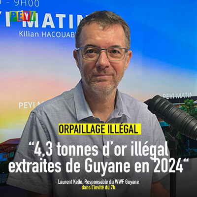 L'invité du 7h | 07 novembre 2025 | Laurent Kelle cover