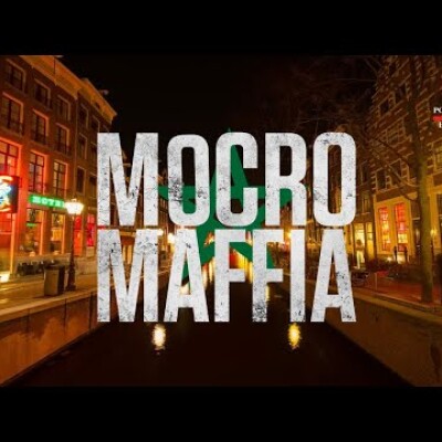 Meurtres, disparitions et corruption : l'année choc de la Mocromafia cover