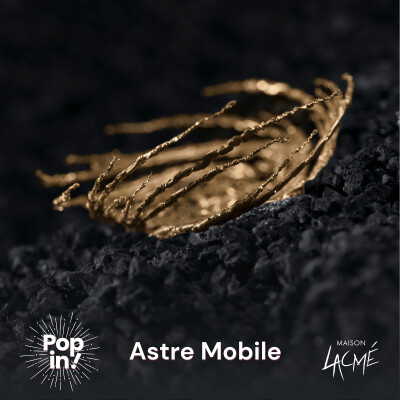 ASTRE MOBILE - Quand la broderie métallique devient logo avec Marie Archambaud cover