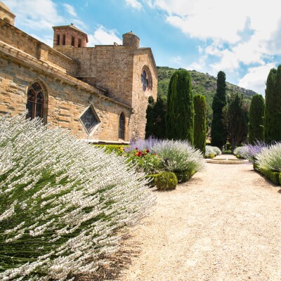 A la rencontre d'Olivier Baron, responsable de la pépinière départementale cover