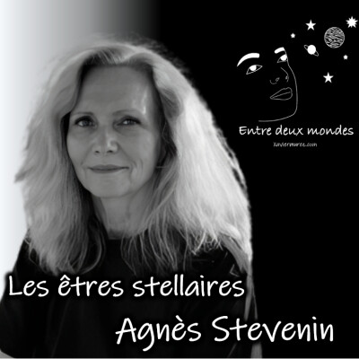 Interview - Les êtres stellaires, Agnès Stevenin cover