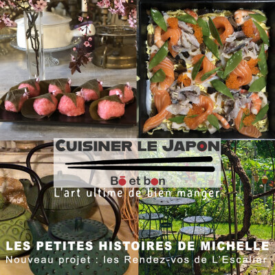 LES PETITES HISTOIRES DE MICHELLE - Un nouveau projet vient de naître. cover