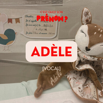 Adèle [VOCAL] cover