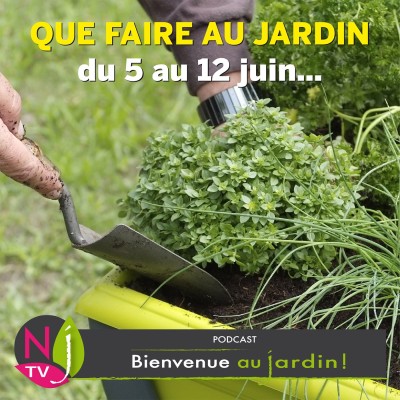 QUE FAIRE AU JARDIN DU 5 AU 12 JUIN cover