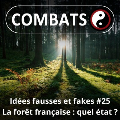 S06E25 Idées fausses : La forêt française, certes en expansion... mais malade cover