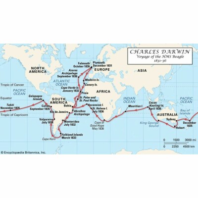 S02E52 Captain Darwin 3/4 : Transat, Pot au noir et Sargasses (Victor Rault et Cécile Malavaud) cover