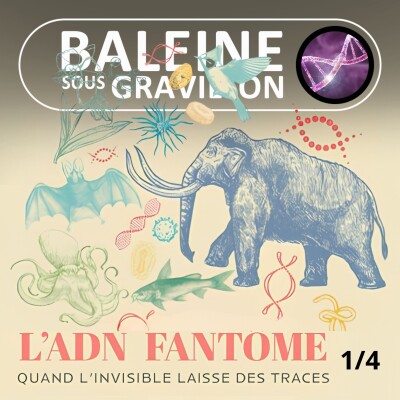 S07E149 L'ADN environnemental 1/4 : Pister les espèces... via leurs traces d'ADN ! (Benjamin Allegrini) cover