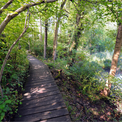 Visitons ensemble "La petite Camargue Alsacienne" ! cover